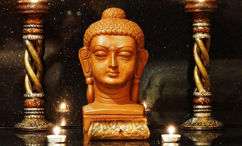 Taj Чандігарх Екстер'єр фото The Buddha